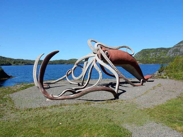 Giant squid exhibit at a museum in Newfoundland