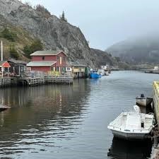 Colorful houses in Quidi Vidi Village, a historic fishing village near St. John's, Newfoundland