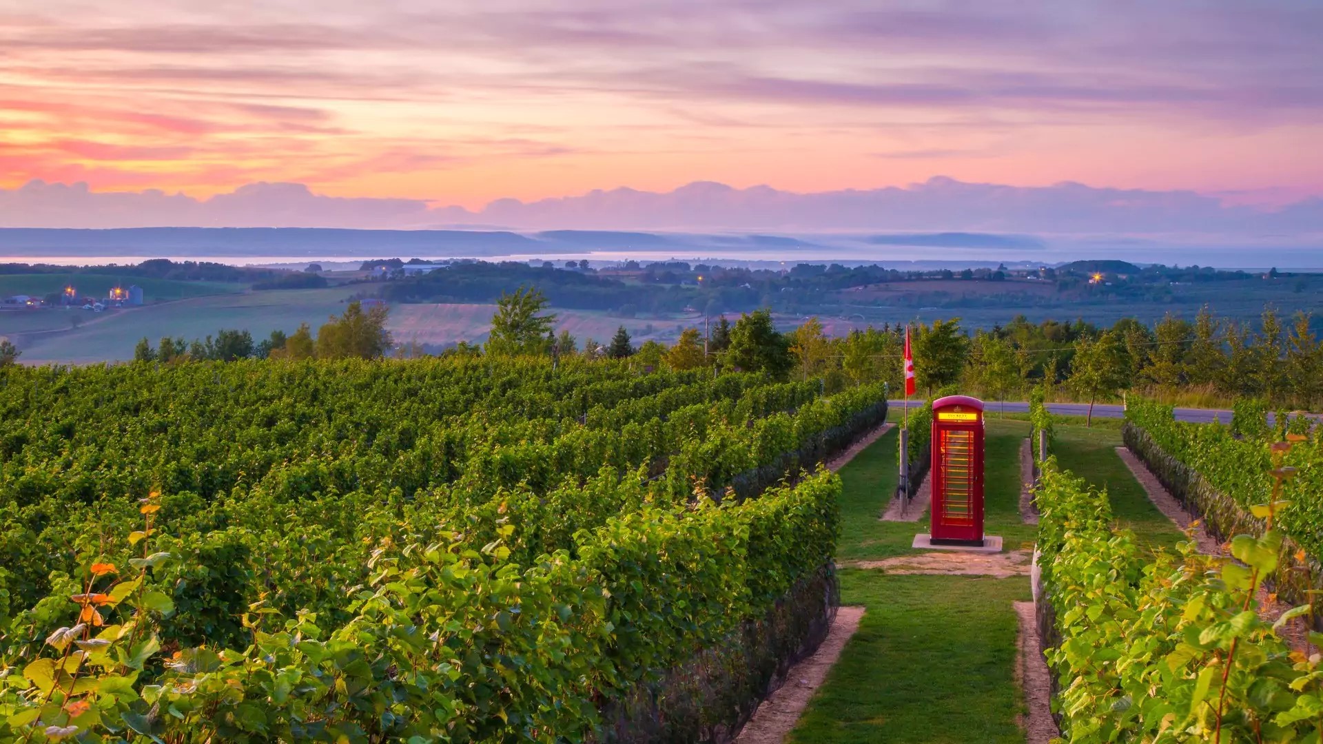 Rolling vineyards and orchards in the Annapolis Valley, Nova Scotia