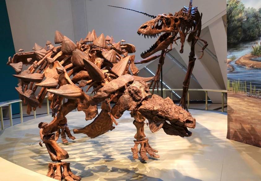 Toronto Museum